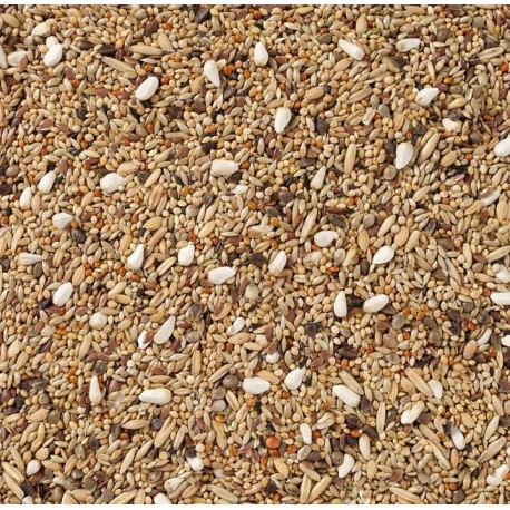 68 - Grandes Perruches Sans Tournesols 20kg - Deli Nature 2 68 - Grandes Perruches Sans Tournesols 20kg - Deli Nature – Image 2