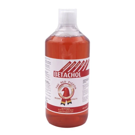 Betachol 1 Litre 2 Betachol 1 Litre – Image 2