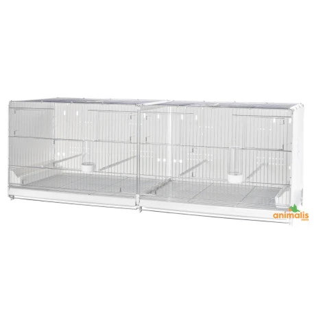 Cage D'élevage Pliable "Sestriere" 120x40x40 Cm 1 Cage D'élevage Pliable "Sestriere" 120x40x40 Cm