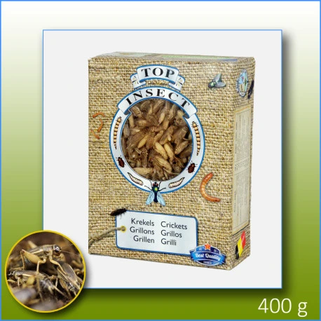Grillons Congelés 400g - Top Insect 1 Grillons Congelés 400g - Top Insect
