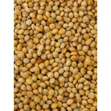 Millet Jaune 20kg 1 Millet Jaune 20kg