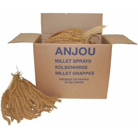 Millet Jaune En Grappe 16 Kg 1 Millet Jaune En Grappe 16 Kg