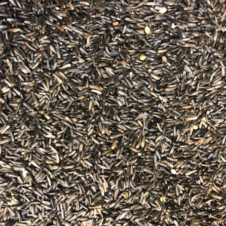 Graines De Niger 15 Kg 2 Graines De Niger 15 Kg – Image 2