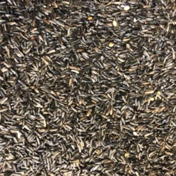 Fournitures Pour Oiseaux -Fournitures Pour Oiseaux niger 20kg 1