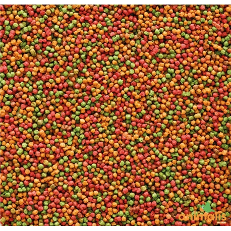 VERSELE-LAGA Nutribird B18 3kg 2 VERSELE-LAGA Nutribird B18 3kg – Image 2