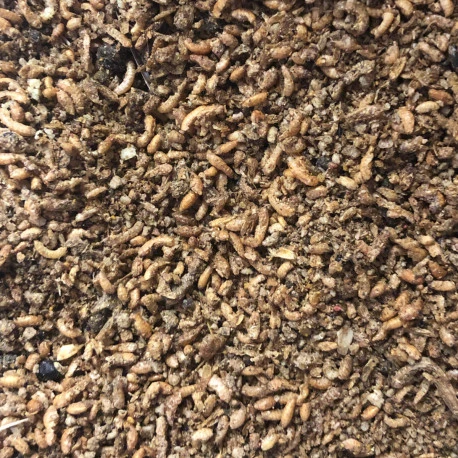 Duvo Pâtée Insectivore Avec 60% D'insectes 1kg 1 Duvo Pâtée Insectivore Avec 60% D'insectes 1kg