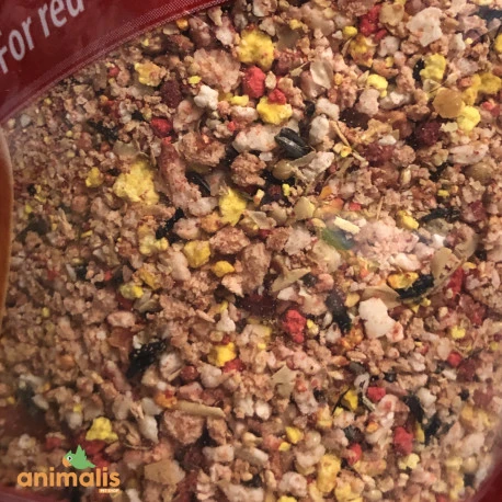 Pâtée Quiko Rouge 5kg + 1kg Gratuit 2 Pâtée Quiko Rouge 5kg + 1kg Gratuit – Image 2