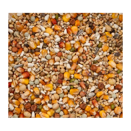 Premium Verkerk Sport 20kg - Beyers 2 Premium Verkerk Sport 20kg - Beyers – Image 2