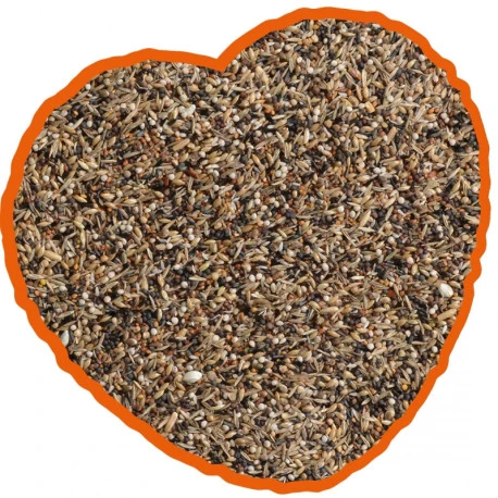 Duvo Tarins Et Chardonneret Spécial 15kg 2 Duvo Tarins Et Chardonneret Spécial 15kg – Image 2